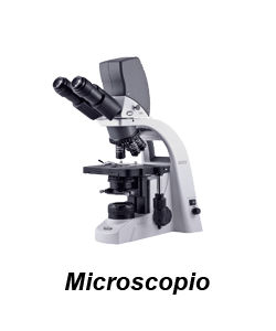 Microscopio