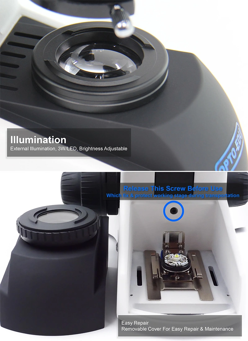 Microscopio A33.1502 - Imagen 2