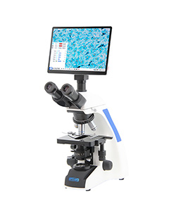Microscopio A33.1502